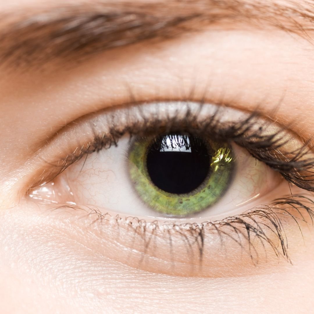 Eye Roles A Quick Look at the Importance of Eye Health ClearSight